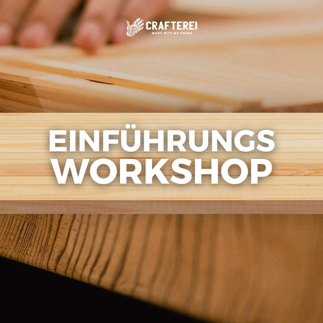 Einführungsworkshop